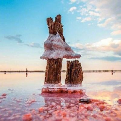 6686体育手机app下载